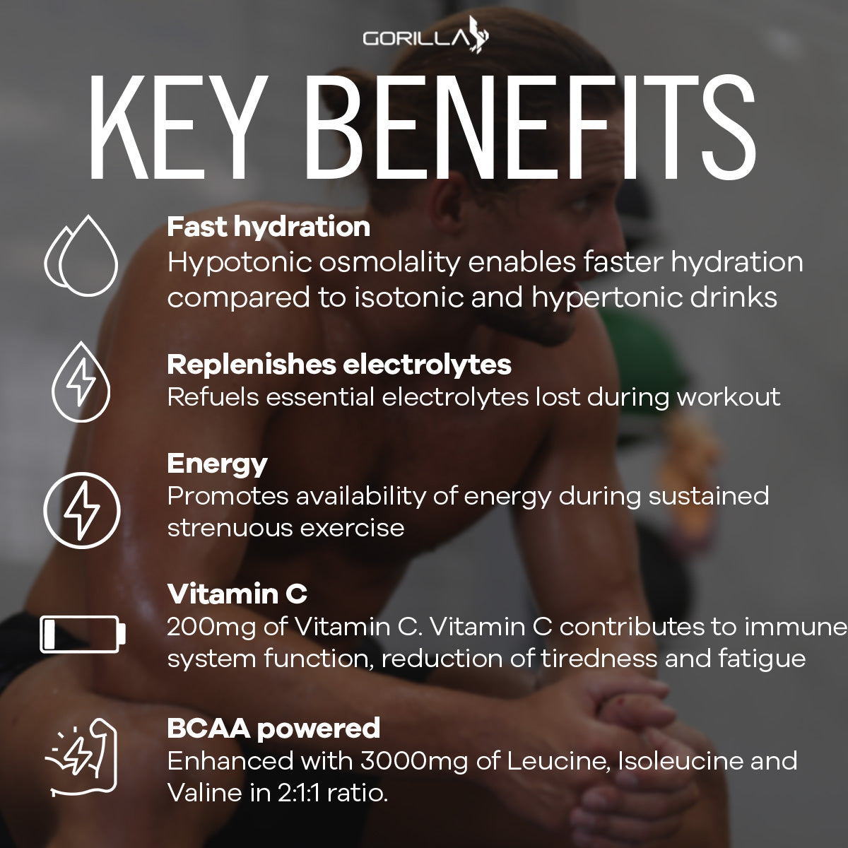 GORILLA HURRICANE (24 pack)